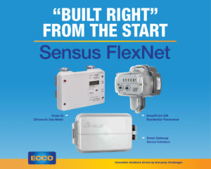 Sensus Flexnet Built Right from the Start Graphic