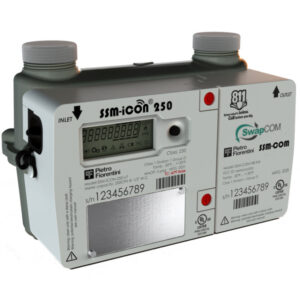 SSM-icon 250 natural gas regulator